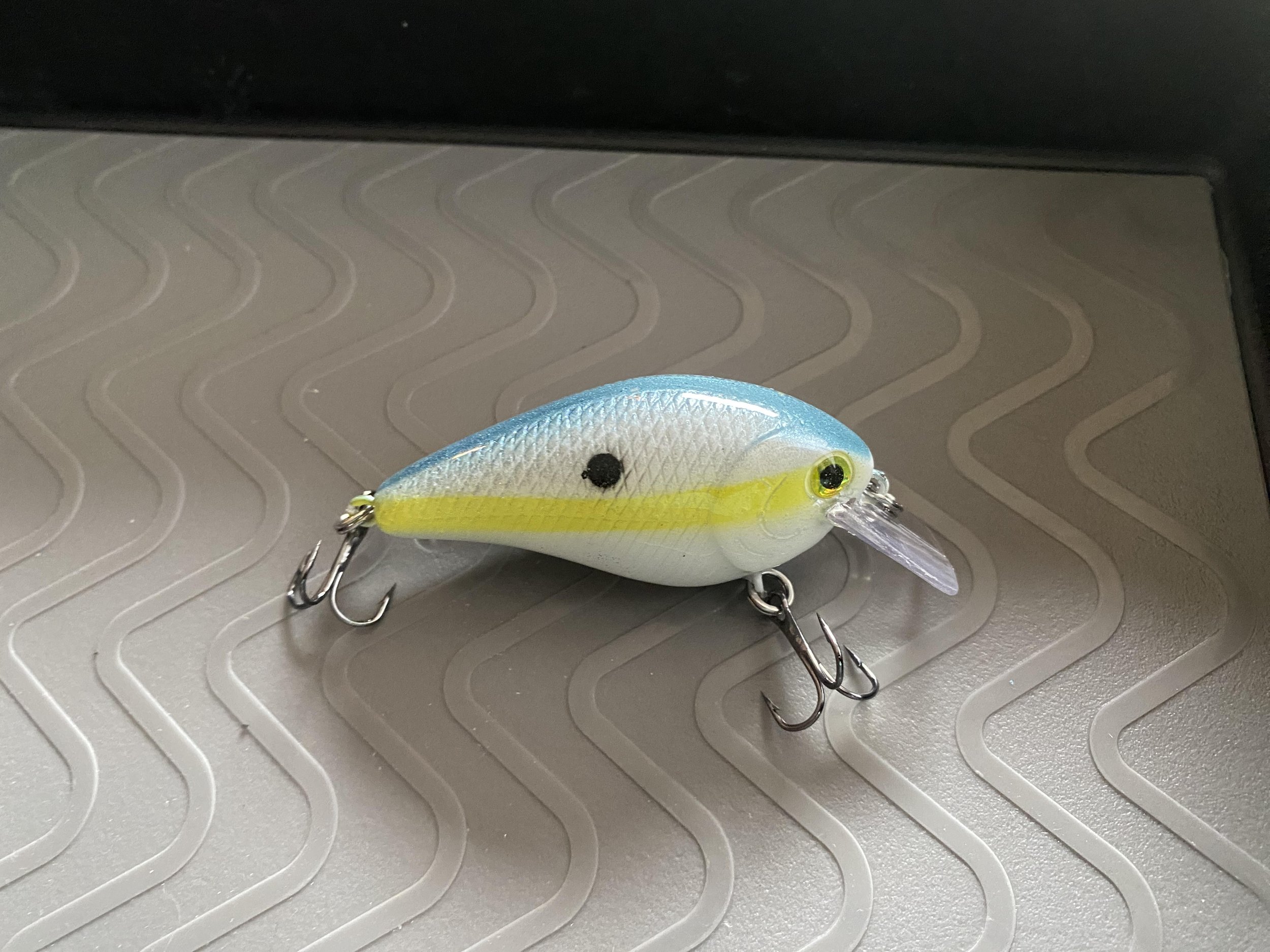 sexy shad doneee.jpg