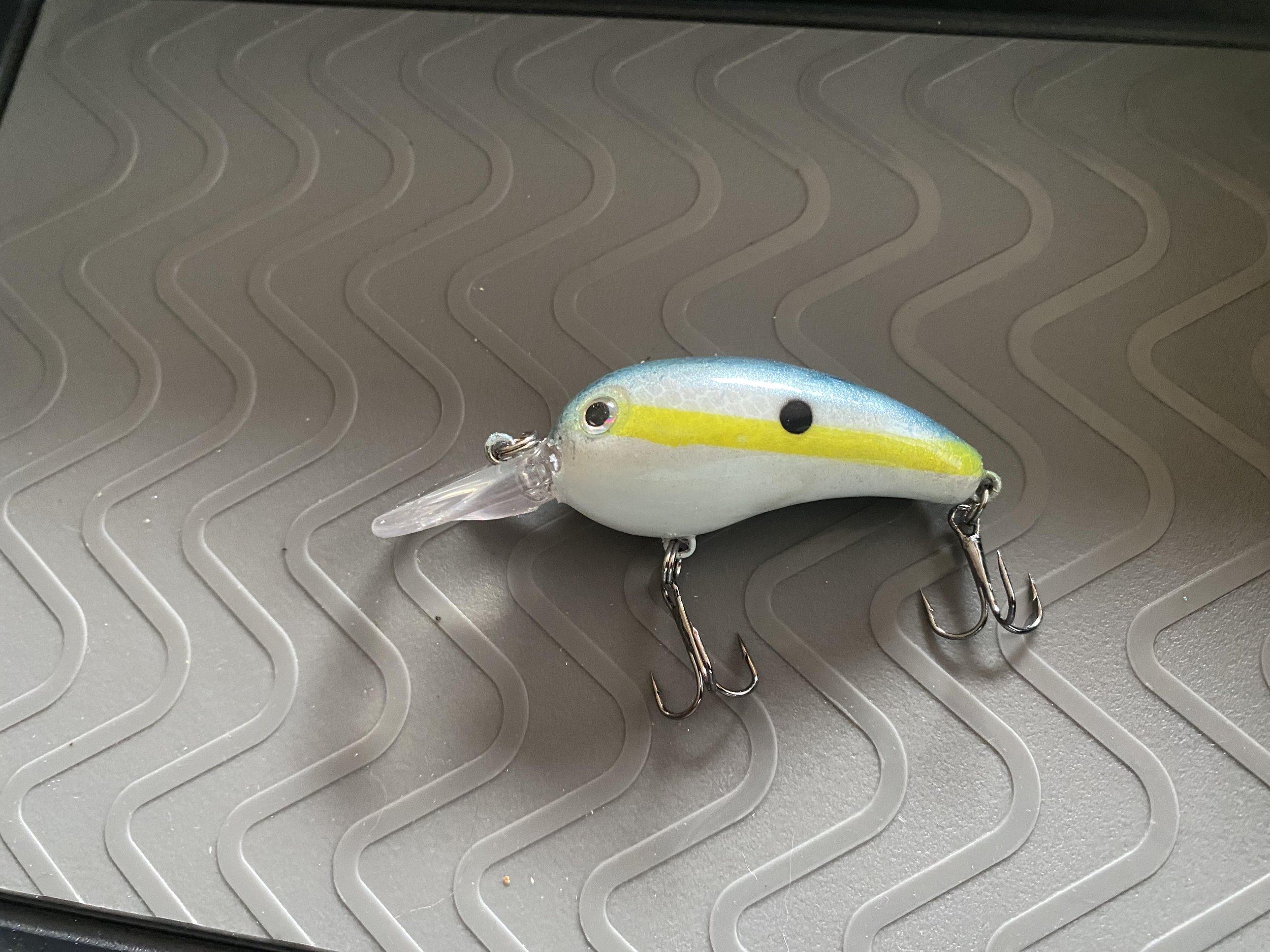 sexy shad doneeee.jpg