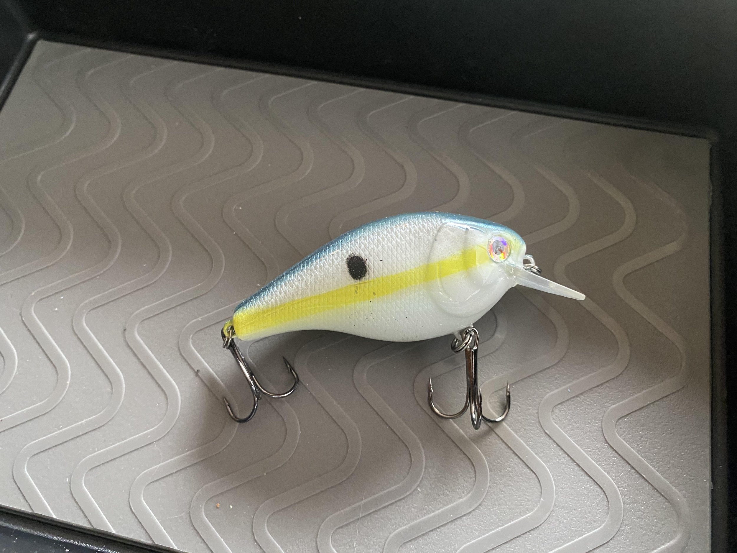 sexy shad ddone.jpg