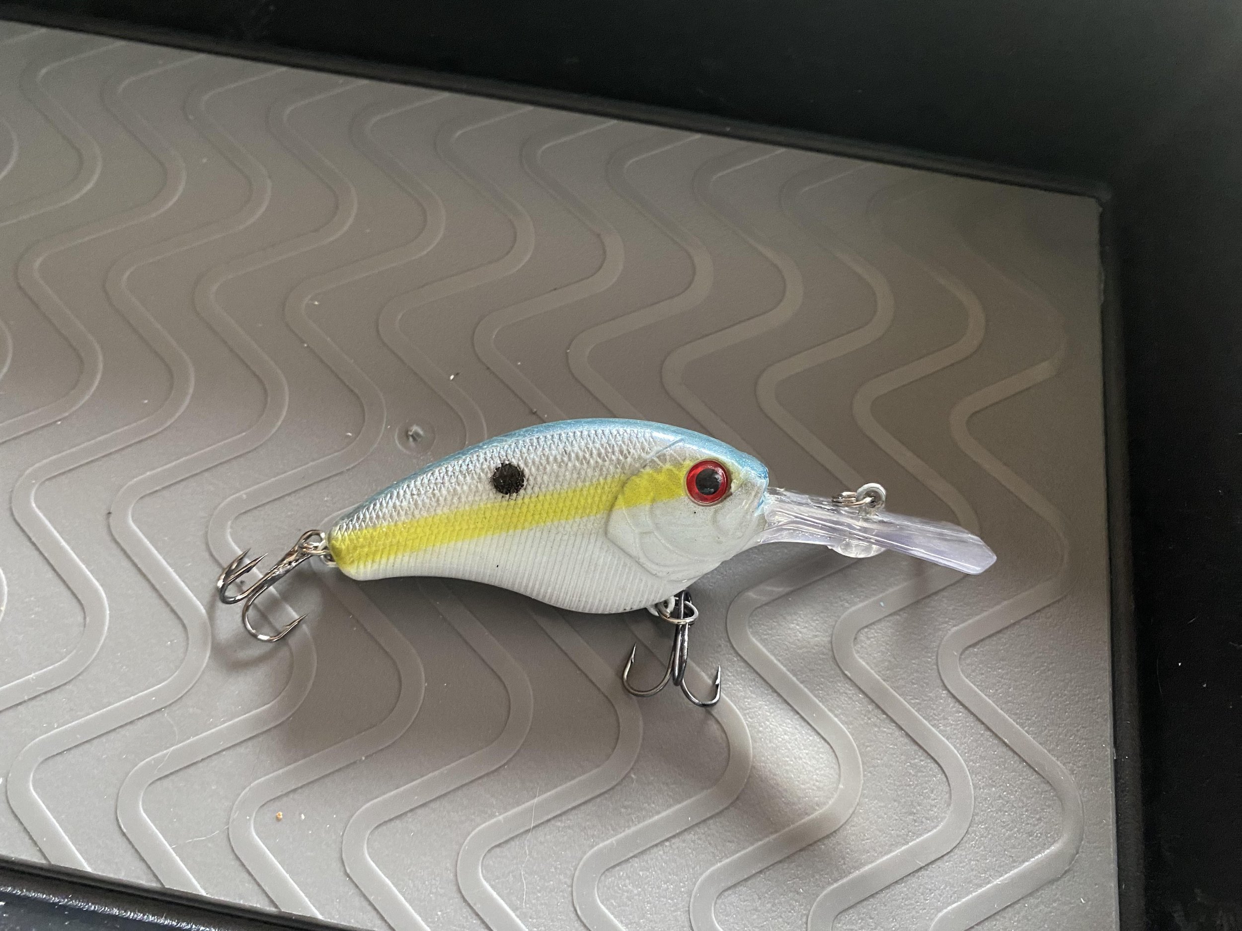 ssexy shad.jpg