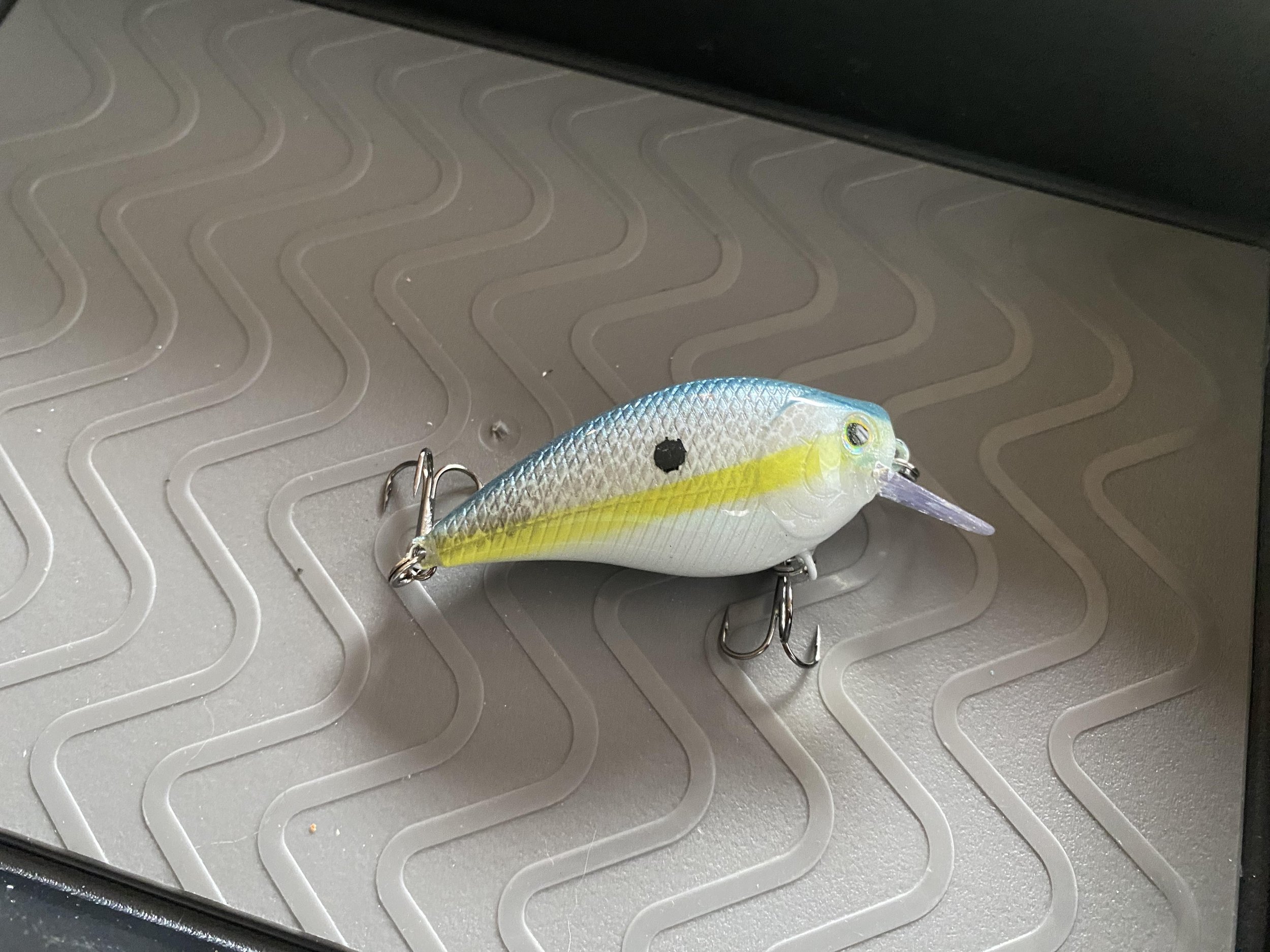 segsy shad.jpg