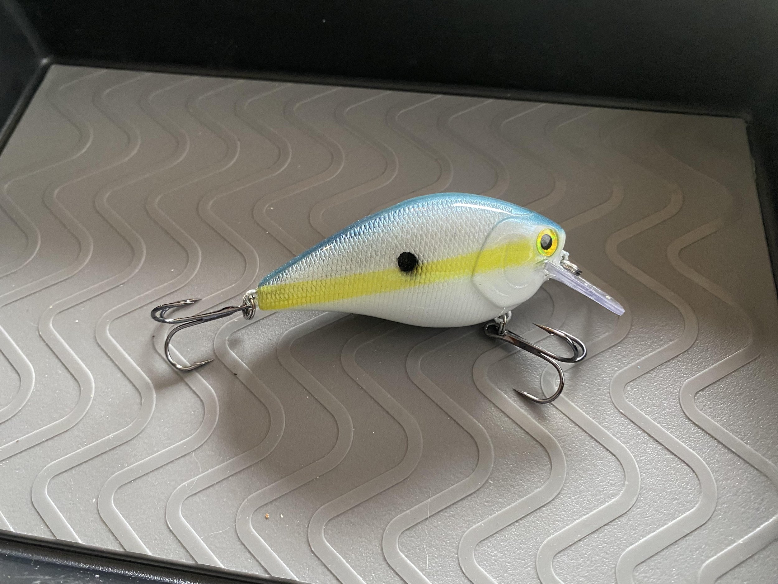 sexy shad done.jpg
