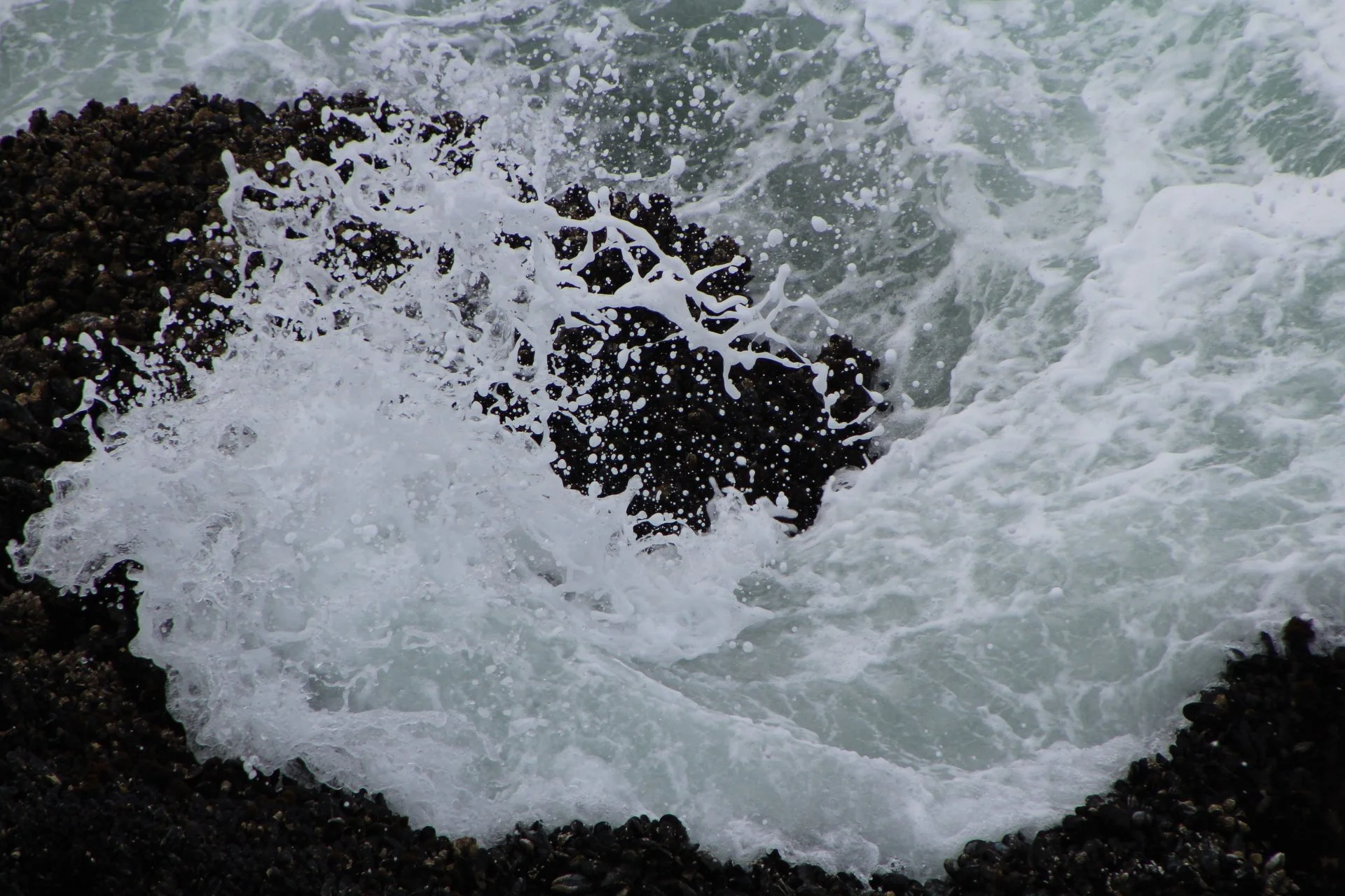 20180625150234_IMG_1746 (3).JPG