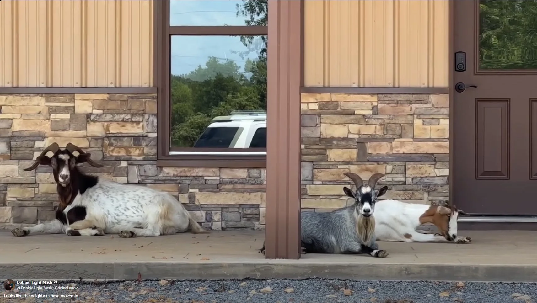 The tale of the “Front Porch Invaders”