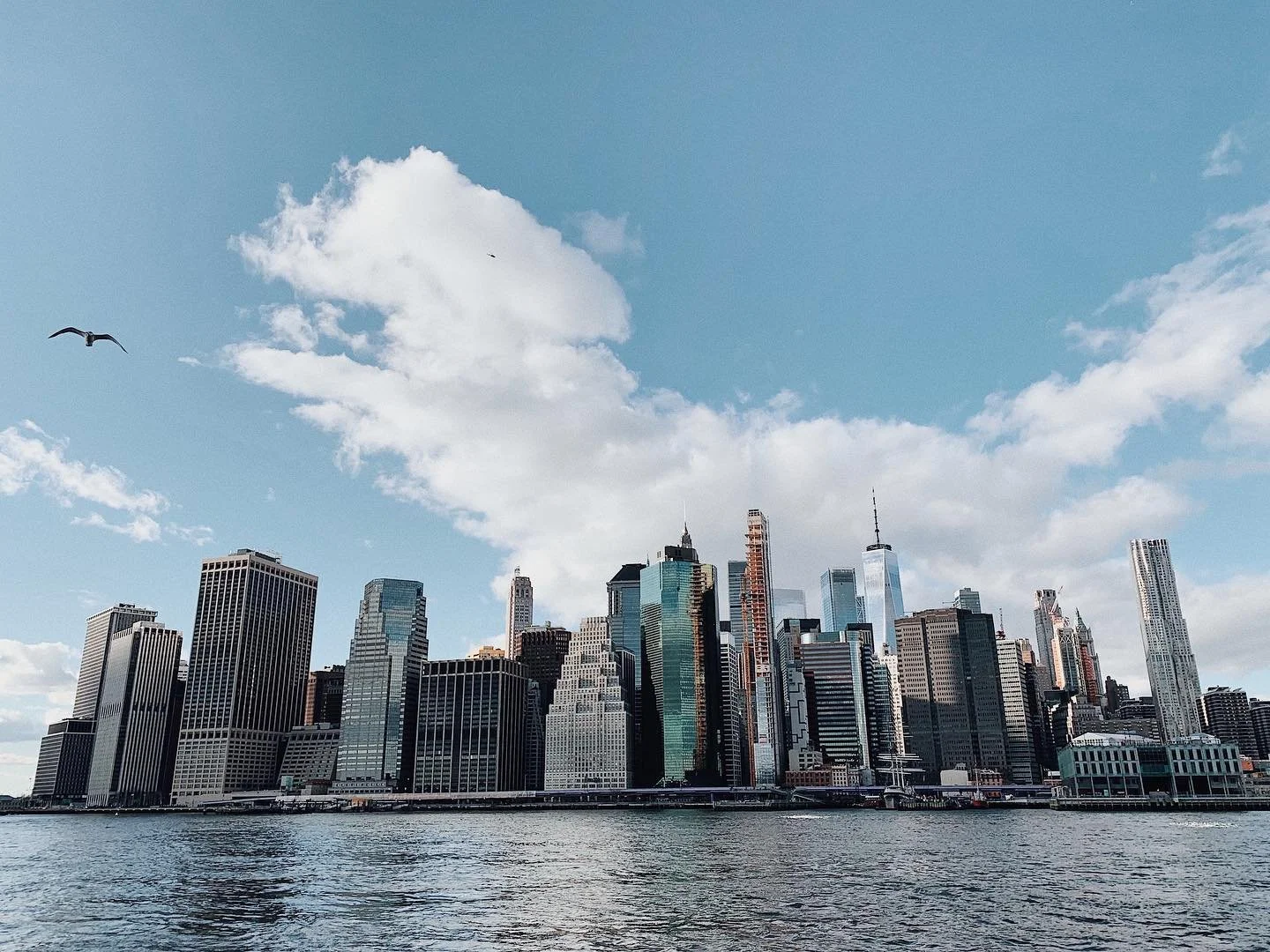 nothing beats the nyc skyline. can&rsquo;t wait to explore this city more soon 🏙