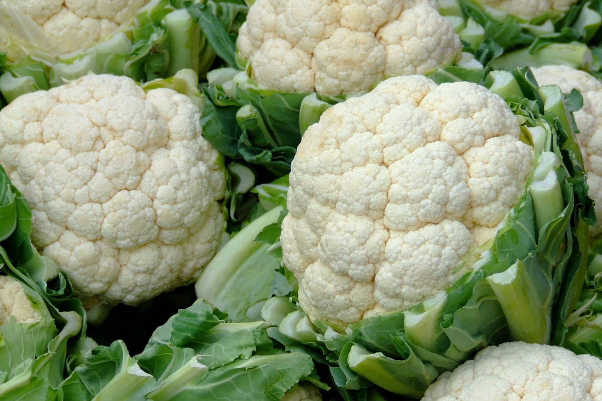 Cauliflower 12 ct Case