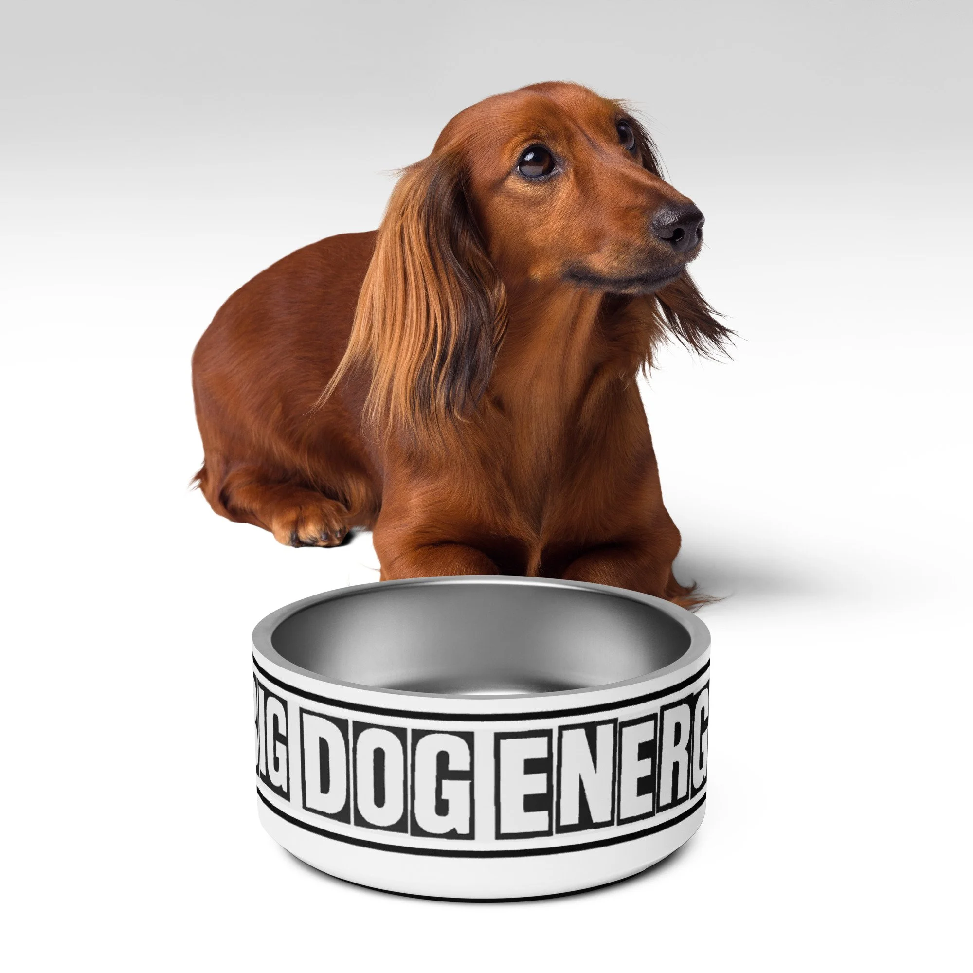 pet-bowl-white-32-oz-front-2-6884d65734634.jpg