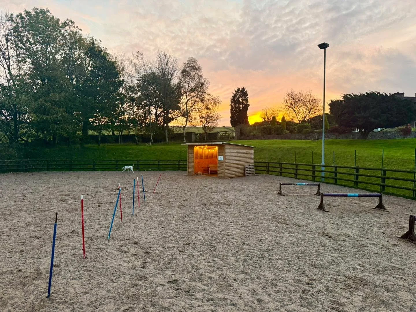 👌🏼 …perfect perfect perfect! 
www.thedogplaypark.com 
-
-
-
#congleton #dogfieldnearme #biddulph #dogagility #dogfield #thedogplaypark #dogpark #dogsoffacebook #happydog #congletoncheshire #doglife #biddulph #walkies #dogfield #thedogplay