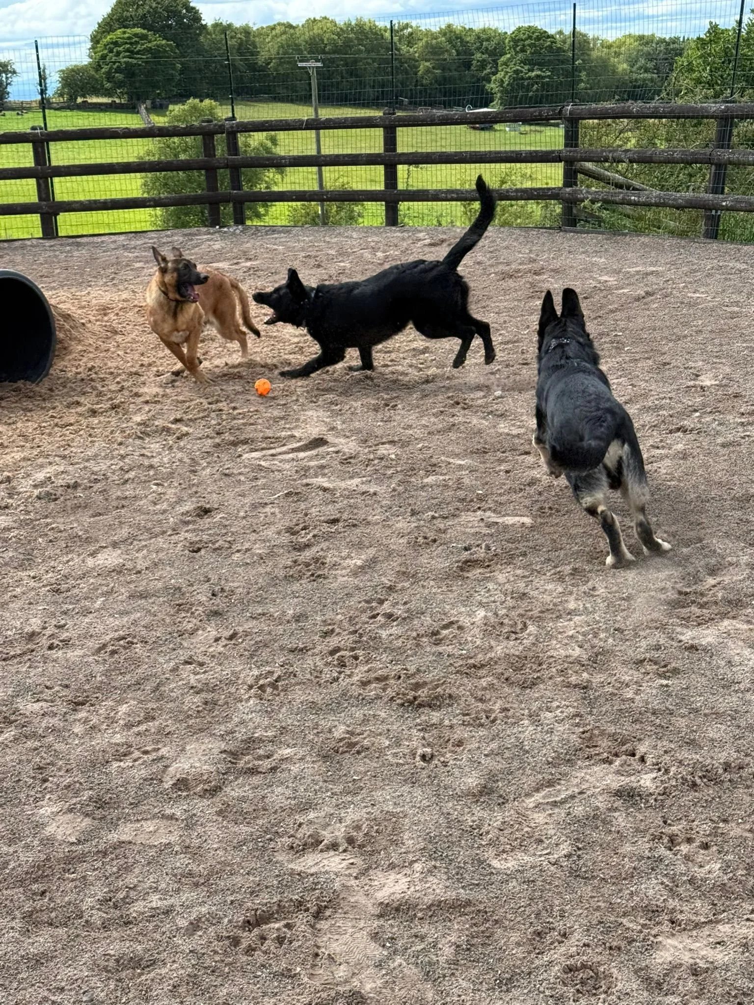 Secure dog field with fresh water, seating, and full fencing in Cheshire.