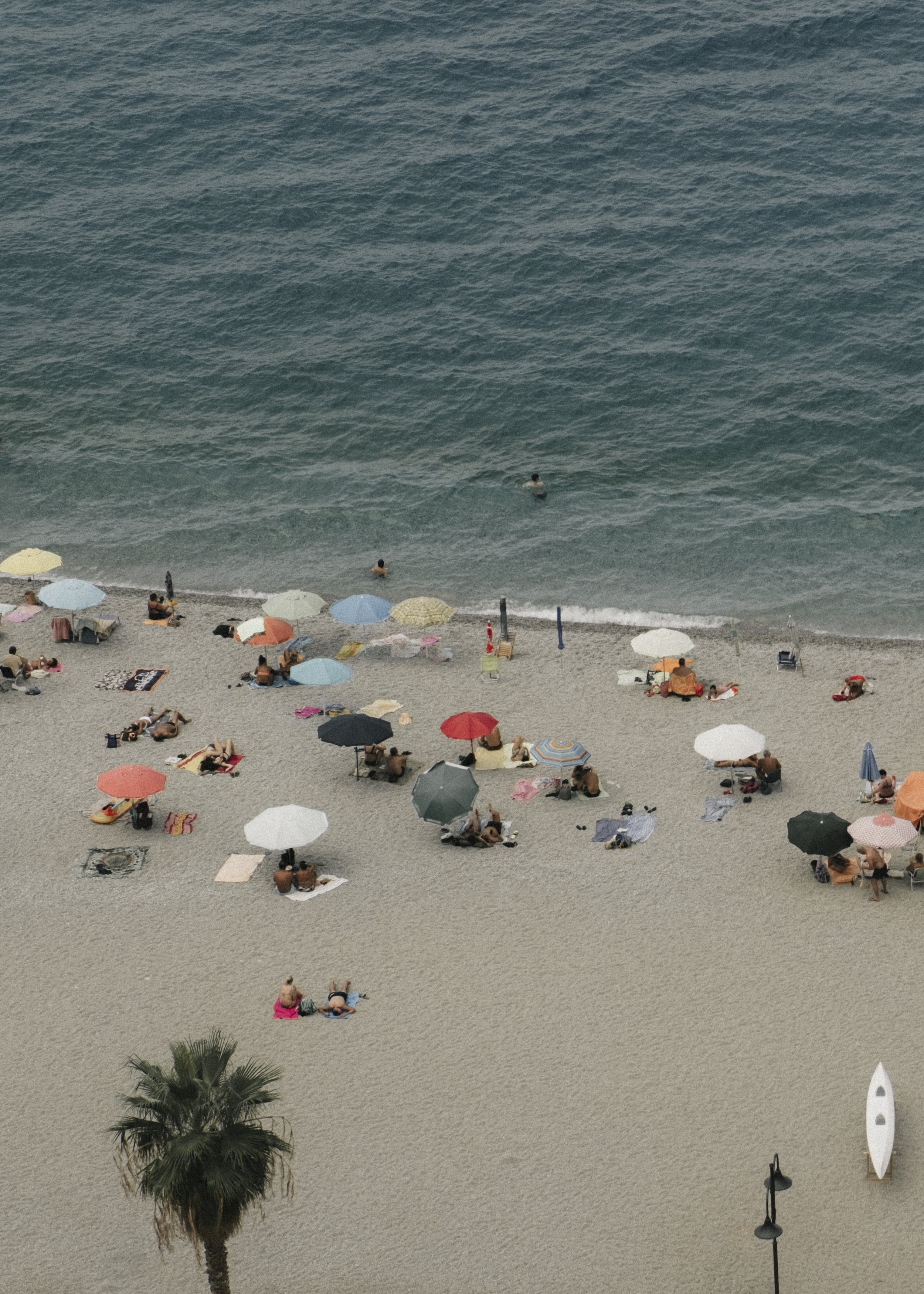 Scilla-01.jpg