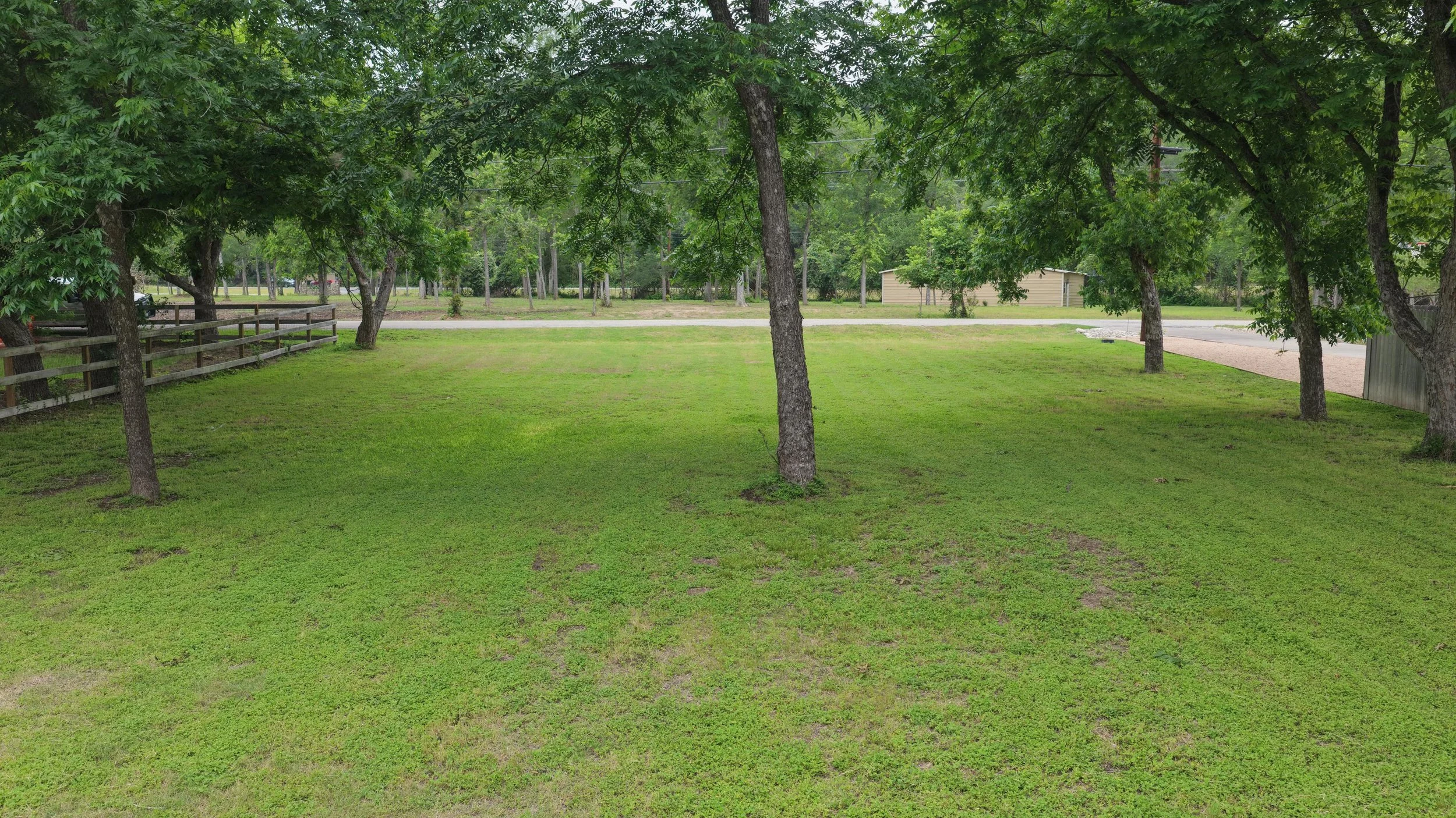 A grassy backyard with several trees and a fence, with a road and small building in the background.