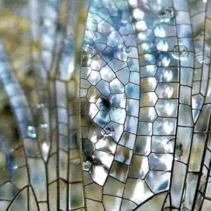 Reconnecting with Your Truth: How Body Wisdom and Eco-Arts Help You Recognize Gaslighting