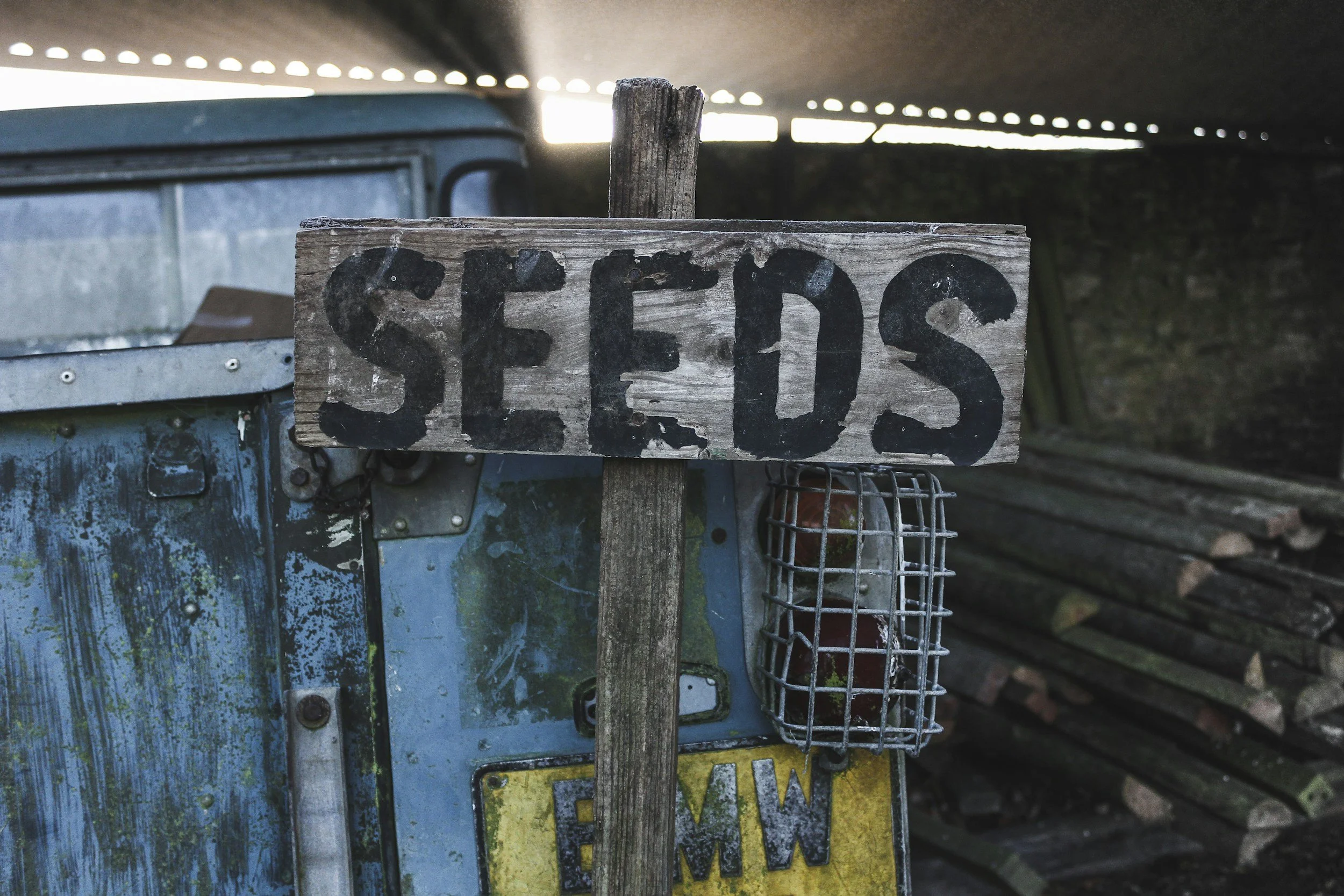Seed Saving as Time Travel: