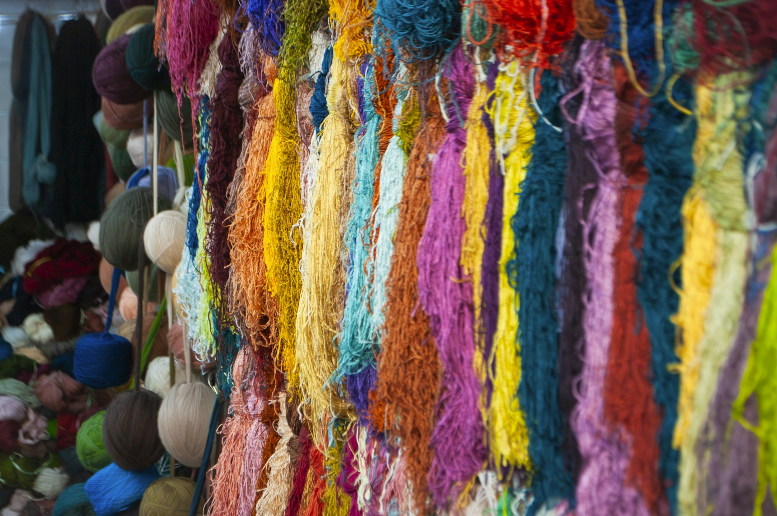 From Waste to Wonder: