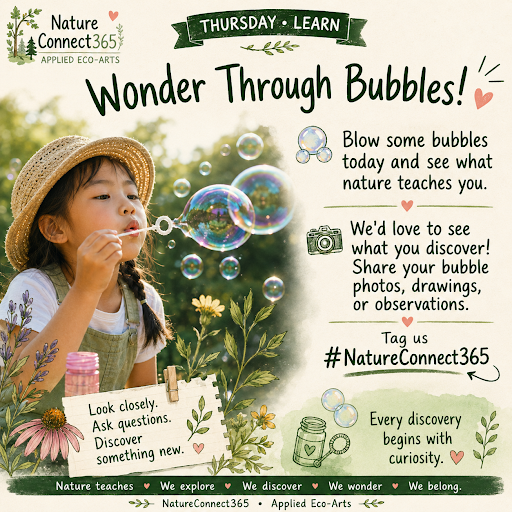 Wonder Through Bubbles