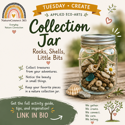 🩵 Collection Jar