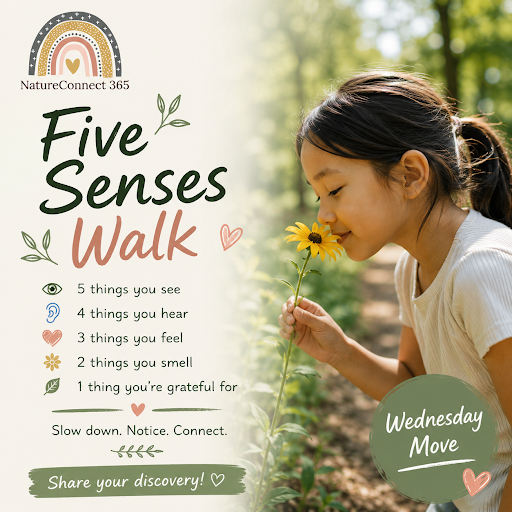 Five Senses