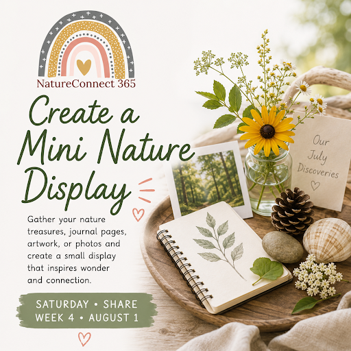 🌎 Create a Mini Nature Display