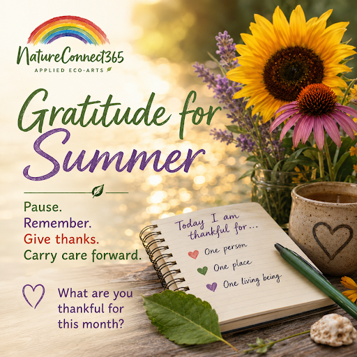 Gratitude for Summer