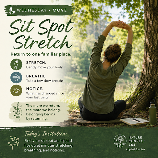 🧘 Sit Spot Stretch