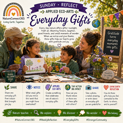 🌿 Everyday Gifts