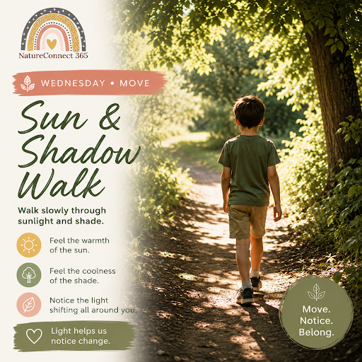 ☀️🌳 Sun &amp; Shadow Walk