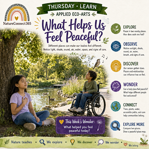 🌿What Helps Us Feel Peaceful?