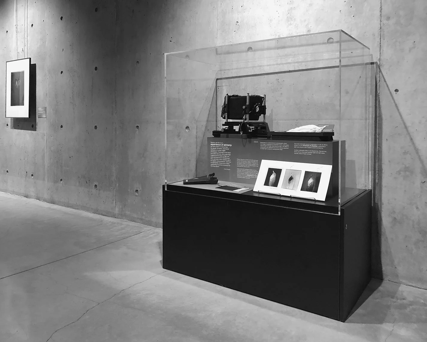 9348226_Beaty-Museum-Exhibition-026.jpg