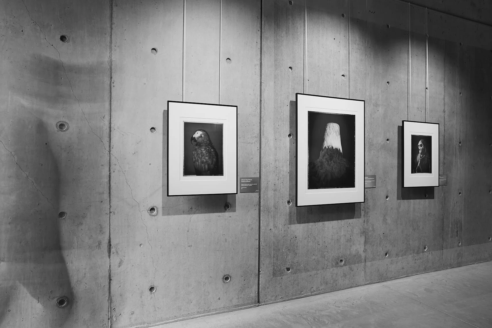 9348144_Beaty-Museum-Exhibition-002.jpg