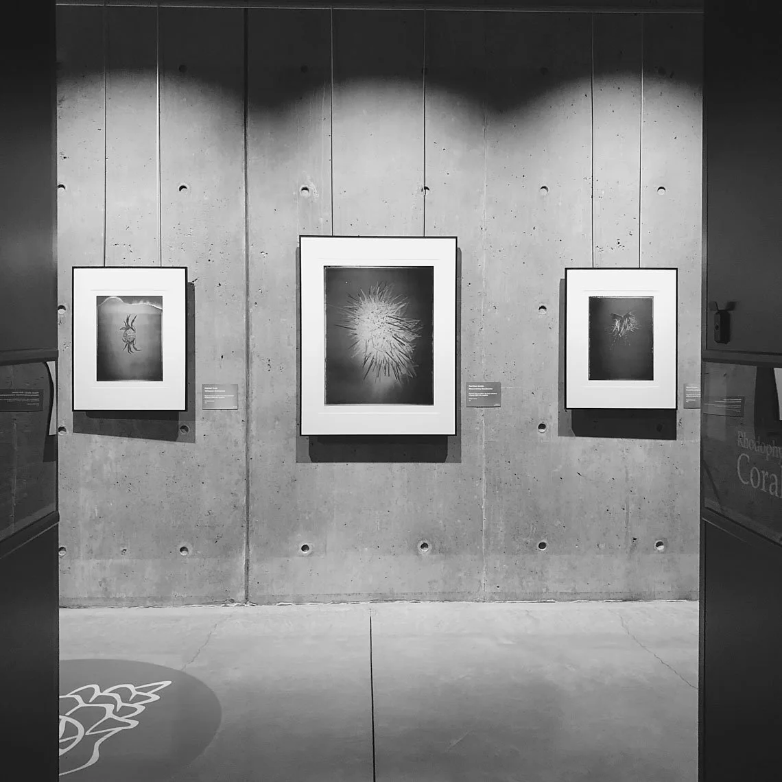 9348202_Beaty-Museum-Exhibition-020.jpg