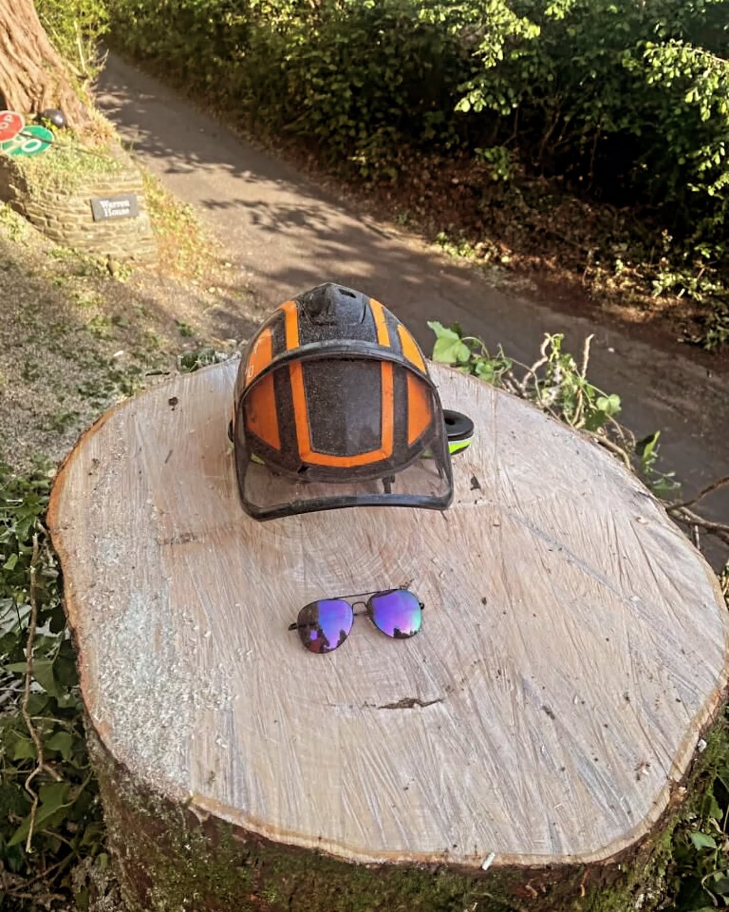 Another great start to a big week of climbing for @hedgetrimmingcardiff_dlmtrees 😊