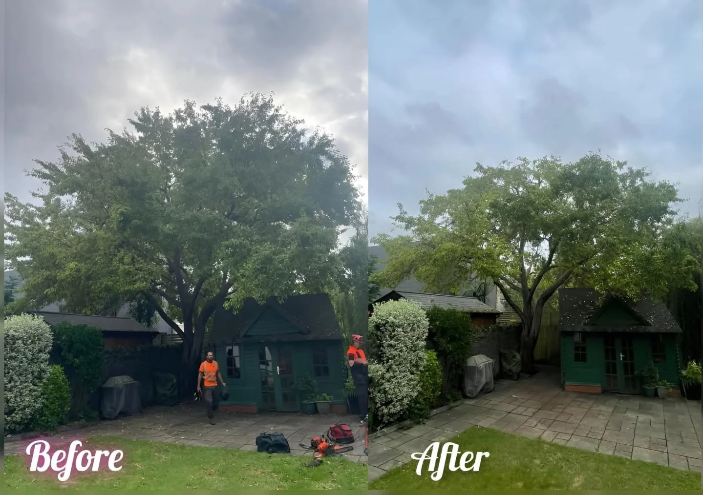 Nice to finish up the week with this large crab apple reduction prune for  @hedgetrimmingcardiff_dlmtrees