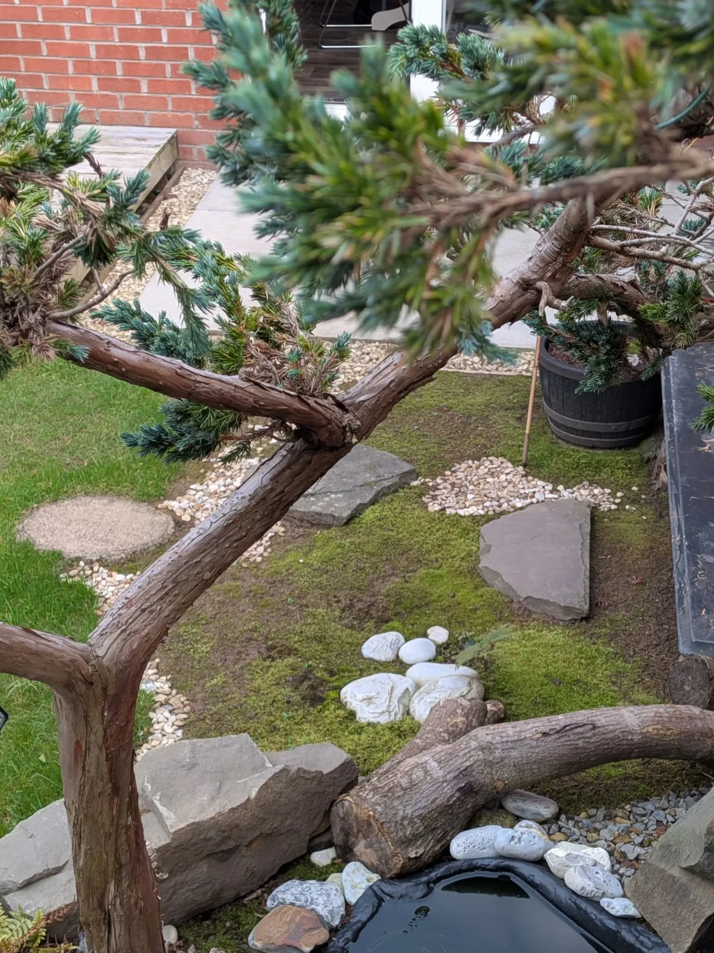 A quick life update from me: since dialing back the business, the headspace I&rsquo;ve gained has been a game changer. I&rsquo;m loving my climbing role, and I&rsquo;ve carved out a peaceful space outside work&mdash;a garden retreat that helps me unw