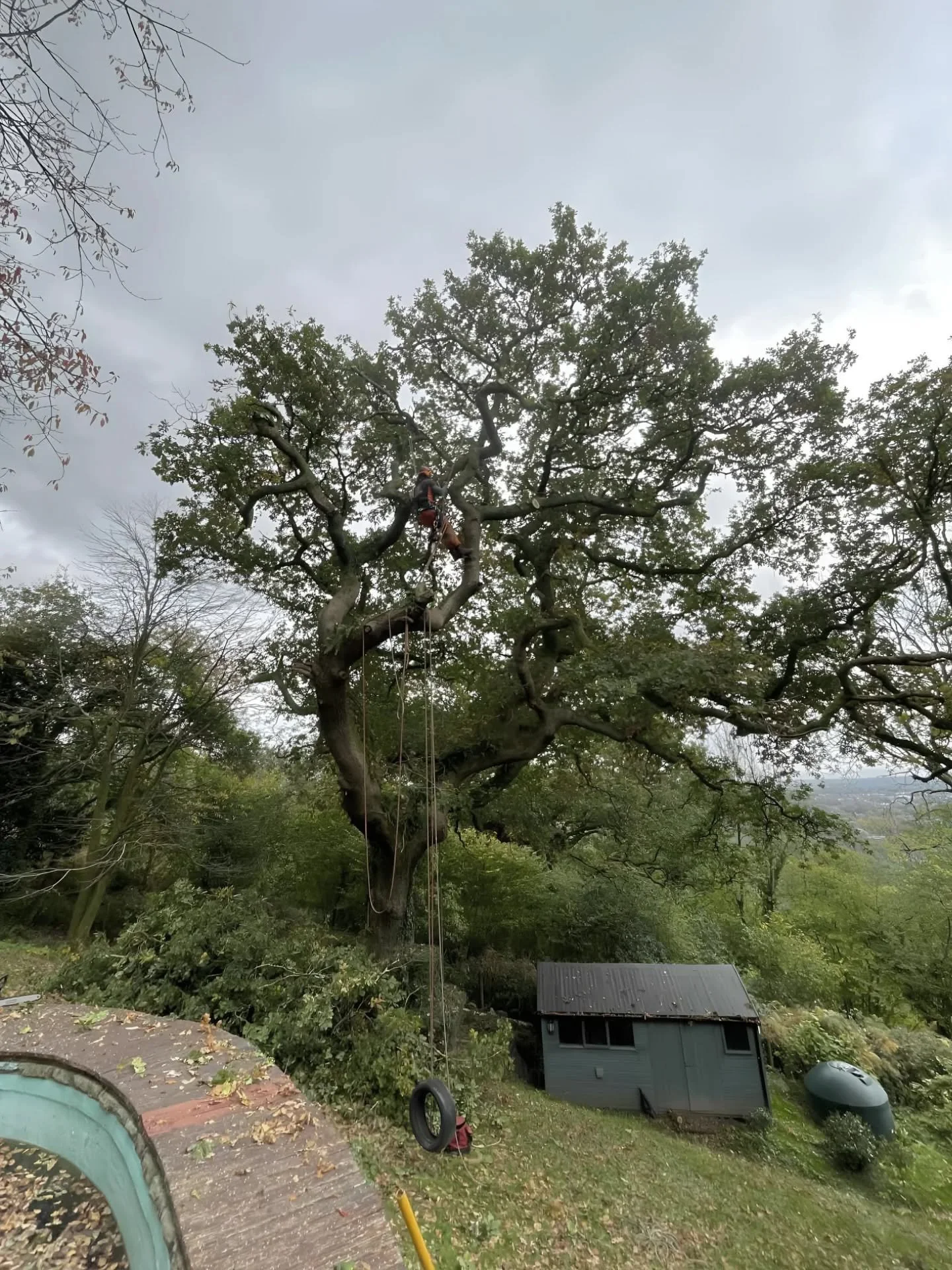 Saturday side job for a mate's family friend.
One of three oaks trimmed up The Wenallt. 

Pruning branches overhanging the pool, air BnB and some deadwood over the road 🪵🌳

All cut material dealt with by homeowner 👌🏻

Even gifted me a new foot as