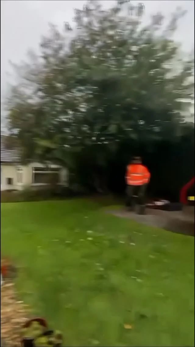 Having too much fun on these little reduction prunes 🌳✂️😊
Willows in Whitchurch with @hedgetrimmingcardiff_dlmtrees