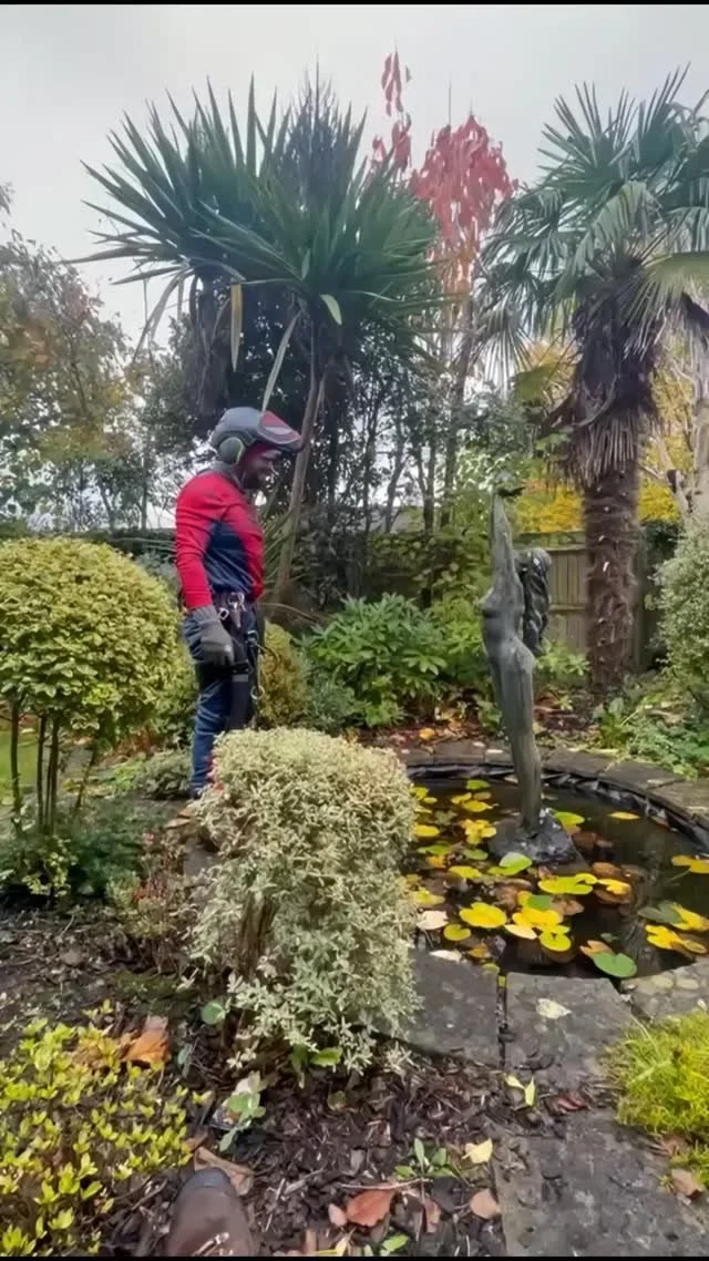 Got sidetracked by a mossy garden statue yesterday.
Y'all know how I love my moss.
(Sorry, couldn't resist posting 😅)