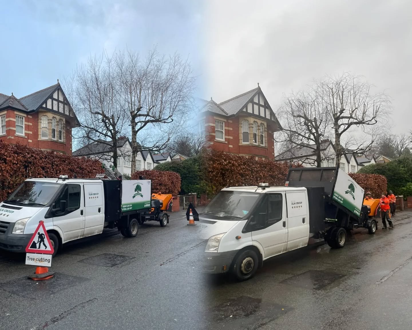 Today's before &amp; afters: problem birches

These birches have been topped in the past. Topping can harm trees and create a harsh silhouette.

- It often leaves large, exposed wounds and prompts dense watersprouts that are easy to break.
- It reduc