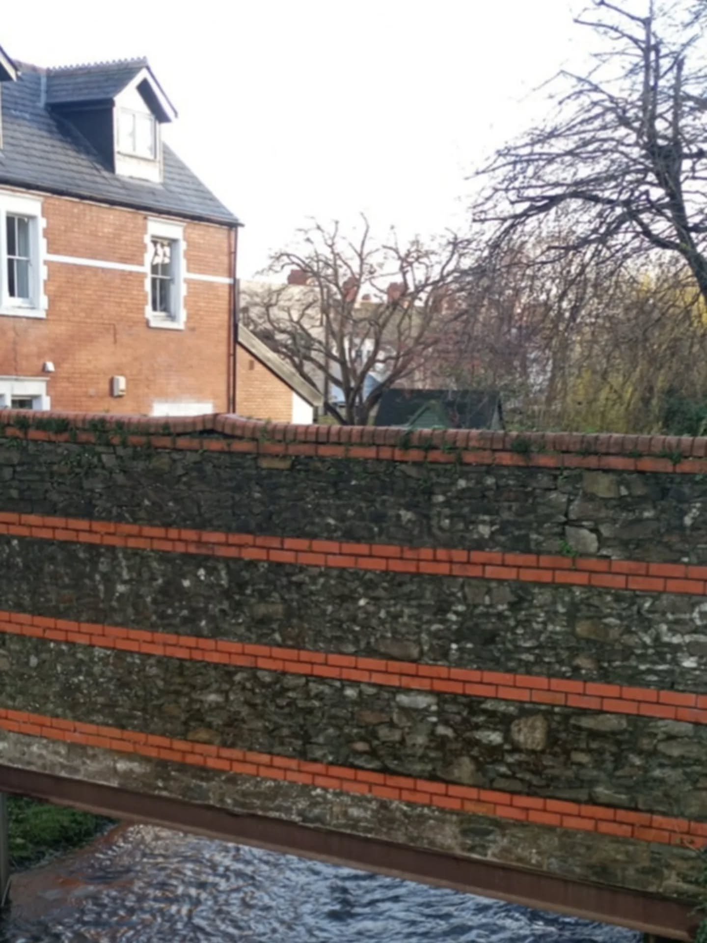 Anyone else do this...or is it just me?🤔💬

&quot;See that tree, I did that one...&quot;

Bet my kids, wife and whoever is with me at the time, is sick of it 😂