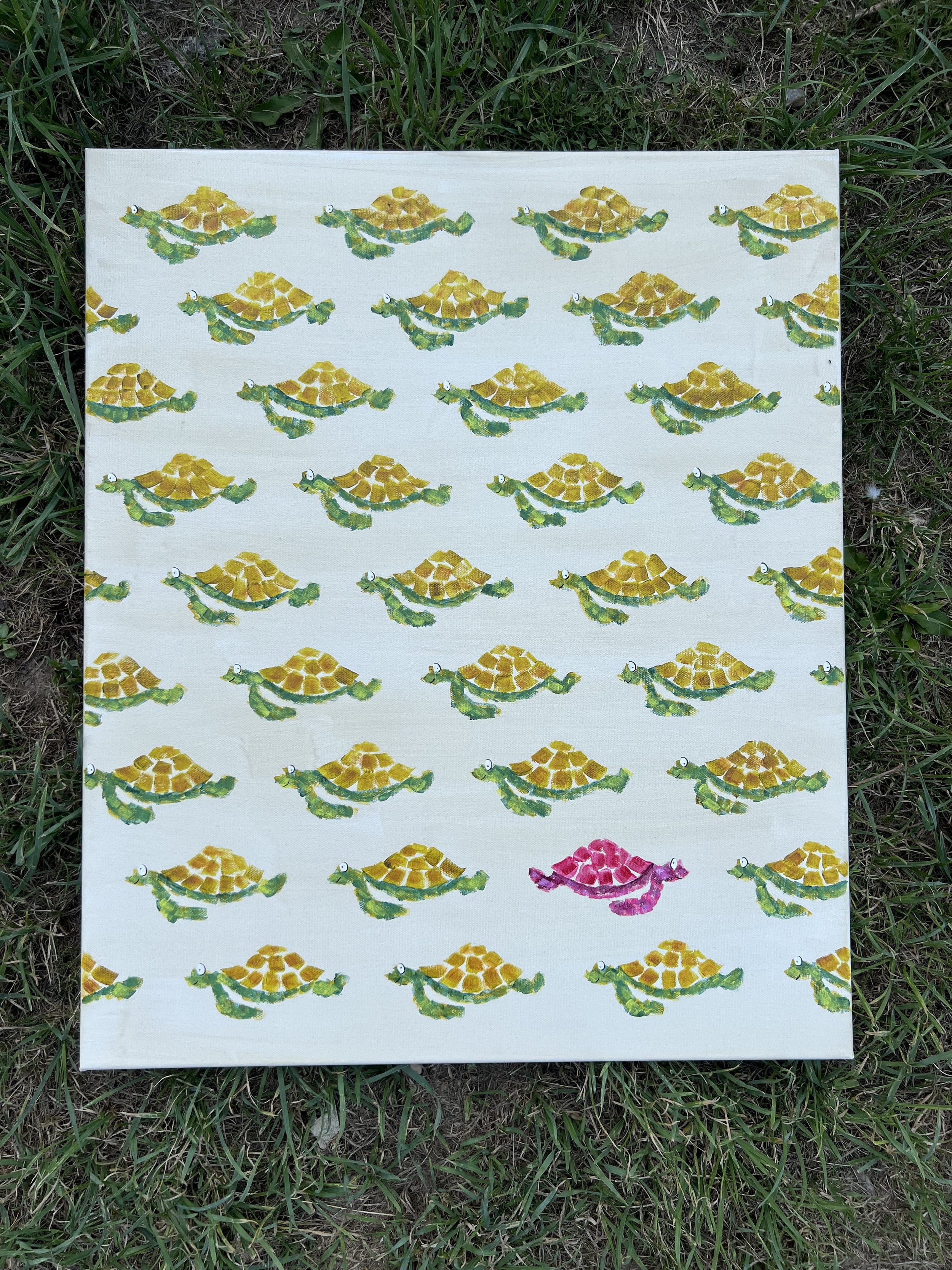 A different kind of turtle