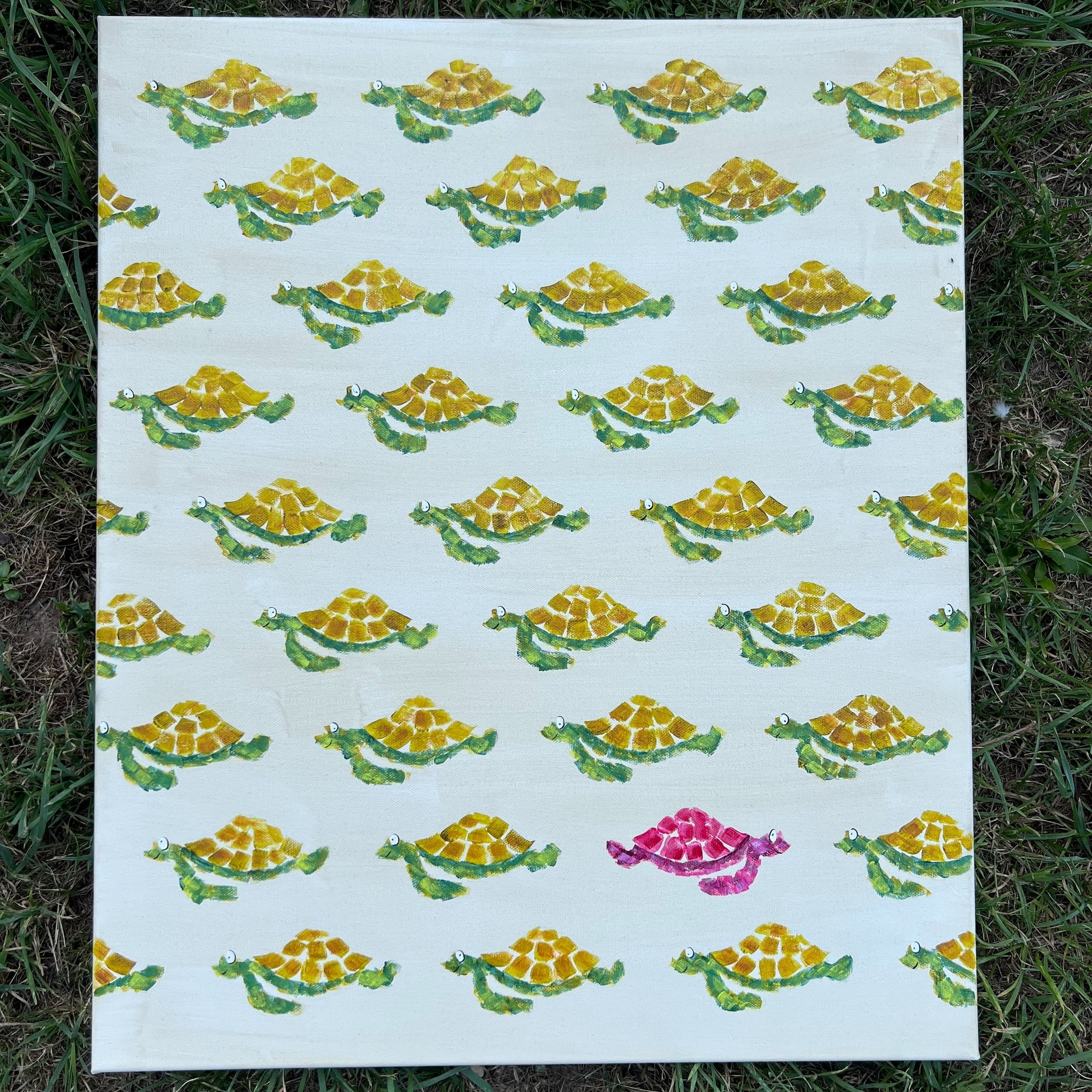multi+turtle.jpg