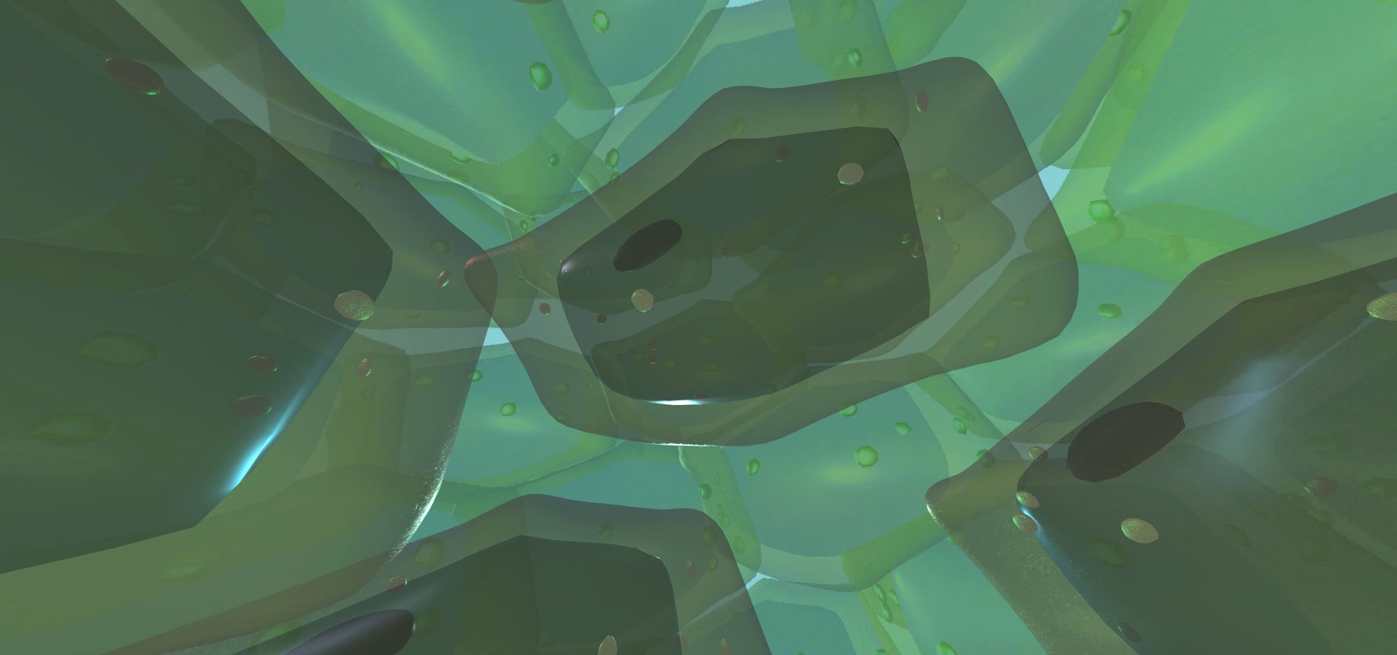 Leaf cells in the Trouble in Sunshine Creek experience