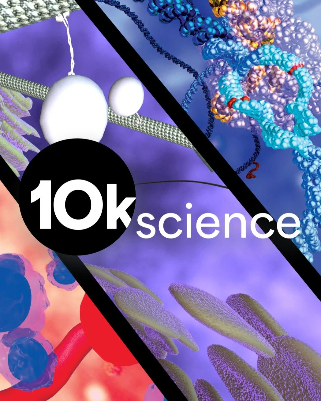 At 10k Science, we're turning cutting-edge research into immersive virtual experiences for everyone to experience.

Let's make complex science understandable - and unforgettable!

We collaborate with researchers and educators to transform data into i