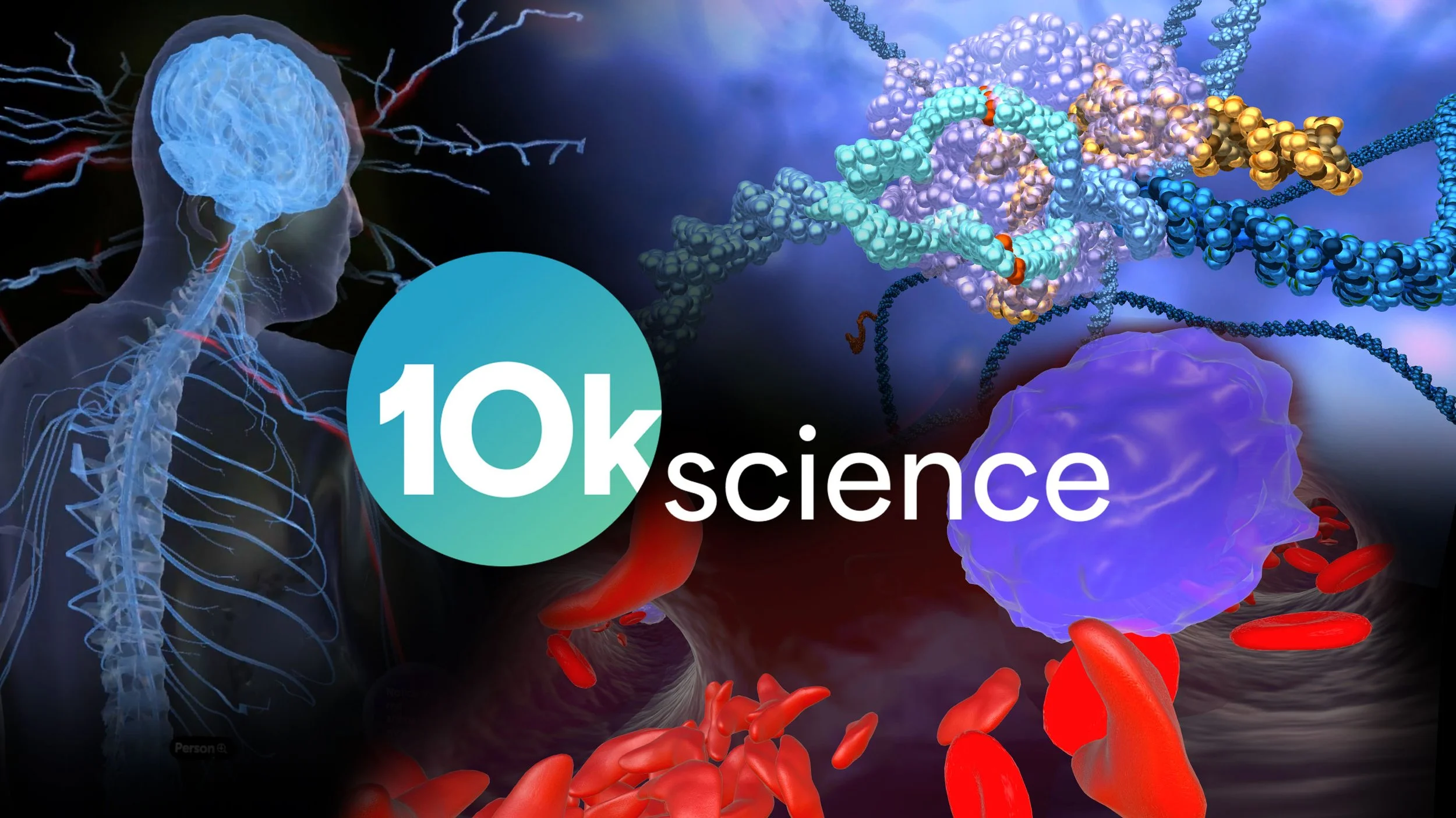 New subscription and experience collection launch