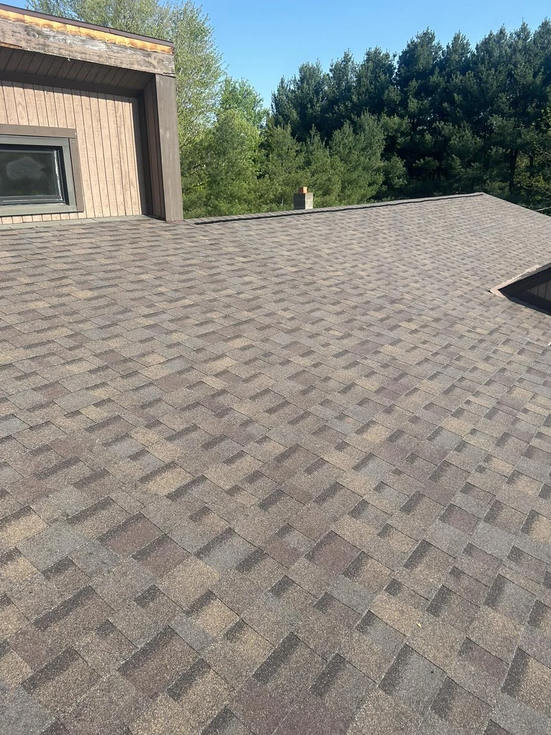 30 year heather bled.jpeg