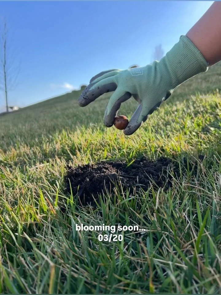 mark your calendars the karryokah flower will be in full bloom on 03/20 👀💐🌝