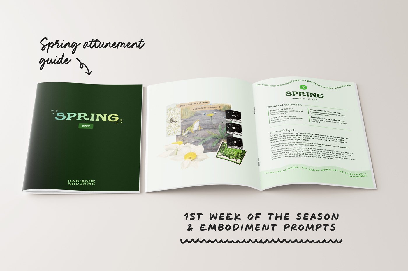 Spring-Main-03.jpg
