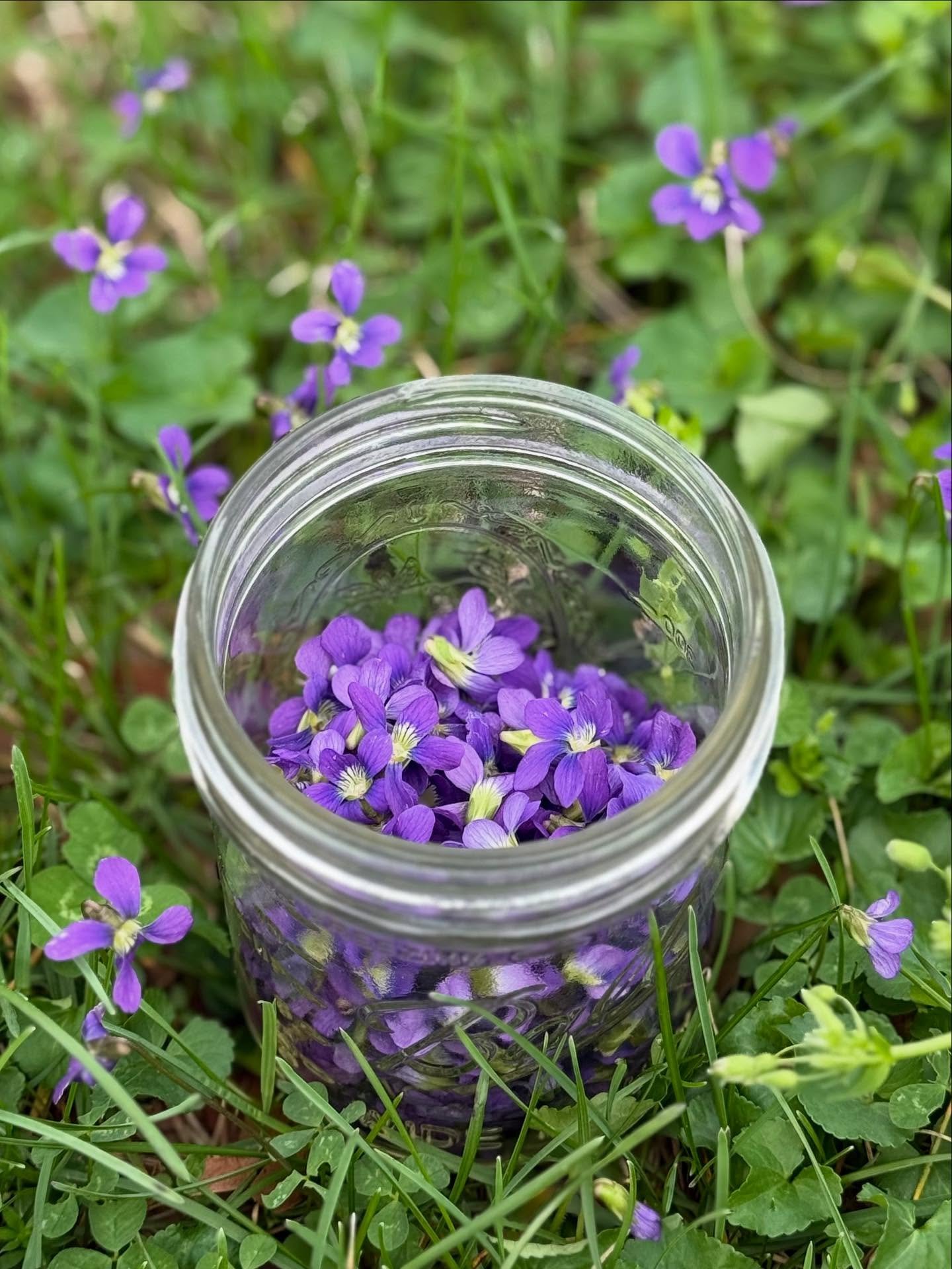 Scenes from April 💚🩵💜 

It may not have been the easiest month, but it sure was beautiful! I was pushed to sit in the uncertainty life brings and get comfortable with letting things unfurl naturally, which is not something that comes easily to me!