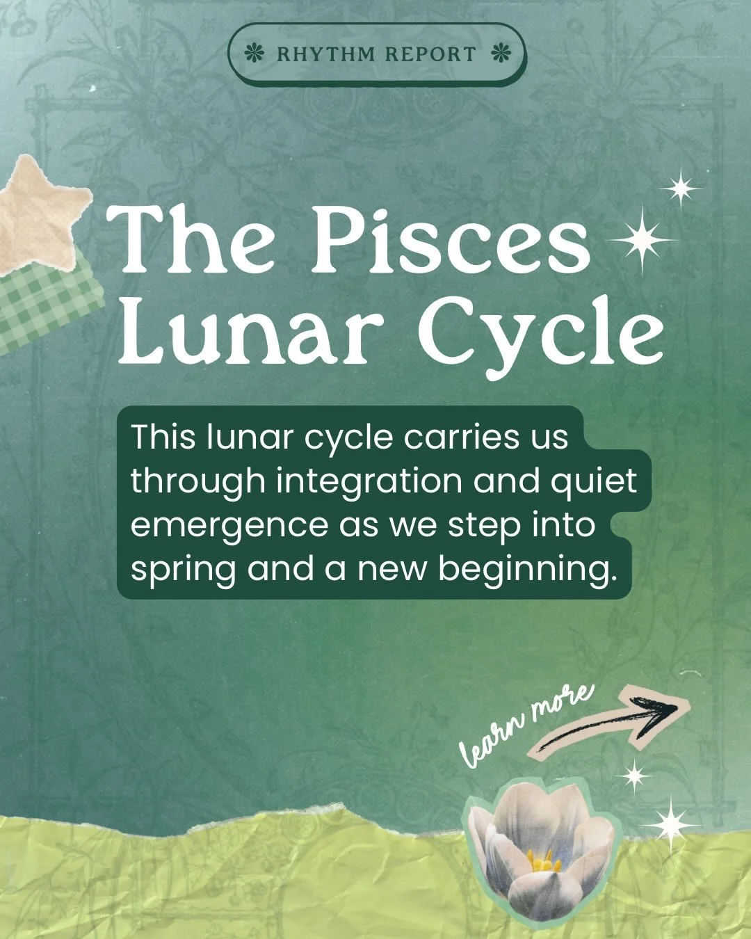 This lunar cycle unfolds across a seasonal turning point.

It begins just before the Spring Equinox and carries us into Aries season, marking the start of a new zodiac year.

Along the way, we move through a few key moments:
&bull; New Moon in Pisces