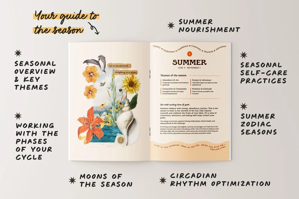 Summer-04.jpg