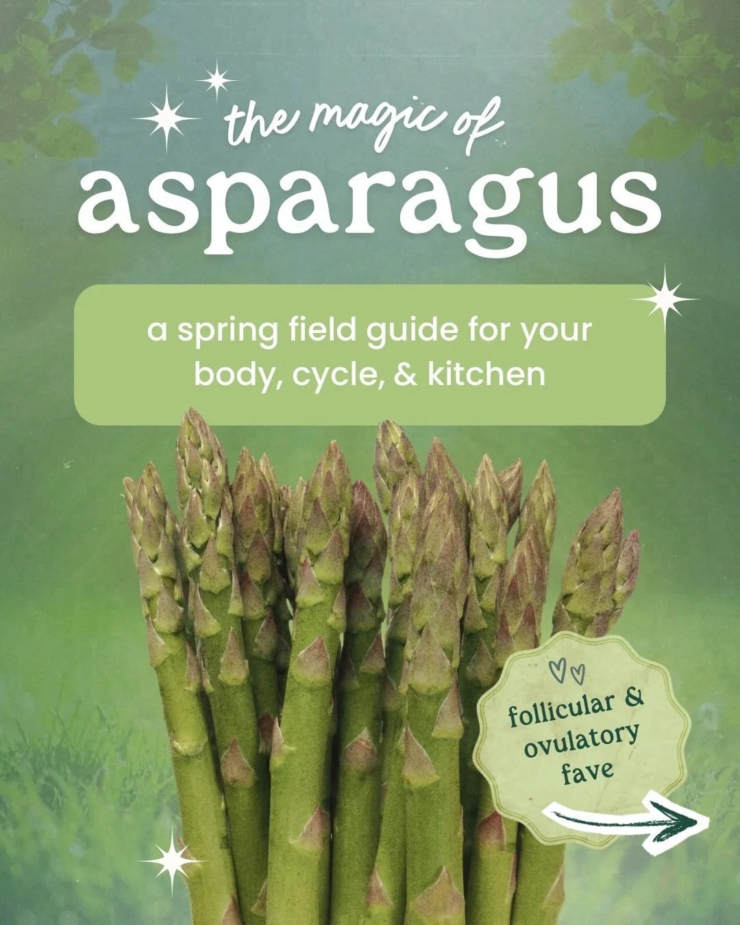 Asparagus is one of my favorite spring veggies because it&rsquo;s easy to work with, supportive, and genuinely delicious. 🤤 

It offers fiber, folate, antioxidants, and prebiotic compounds that support digestion, regularity, reproductive health foun